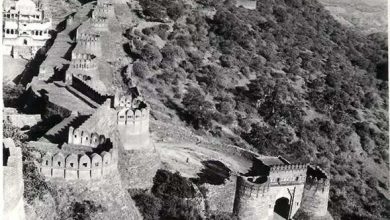 How was the foundation of human civilization on the banks of Banas River 3 Lakh years ago? Rajasthan’s historic time travel in leaked footage
