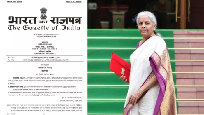 The government has given great relief, now this work will be done for free in the PPF account; Finance Minister has announced – the government’s major assistance work will be done free of charge in the PPF account finance minister.