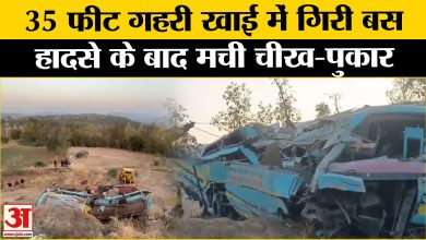 Gujarat’s latest news
