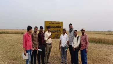 Darbhanga News: Darbhanga Municipal Corporation’s big decision, 10 hectares of land for garbage transport – Darbhanga News Darbhanga News Darbhanga Municipal Corporation Identify land for waste removal
