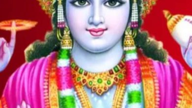 Do these 3 drugs over Amalaki Ekadashi, the house will be filled with wealth