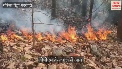 गौरेला पेंड्रा मरवाही की सबसे ताज़ा खबर