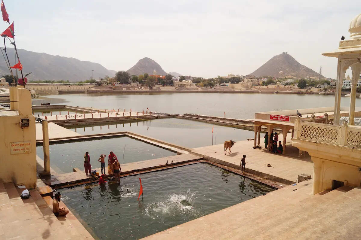 The treasure of beautiful litigants and lakes is hidden in Pushkar will now make a thought of wandering by watching natural beauty in a brilliant 3 -minute video