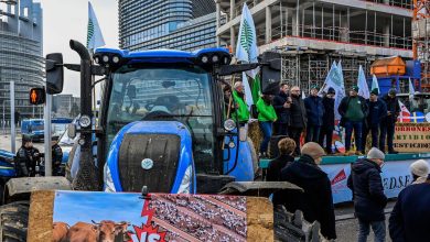 Trump rates: European farmers warn of retaliation, ask for talks | Today news