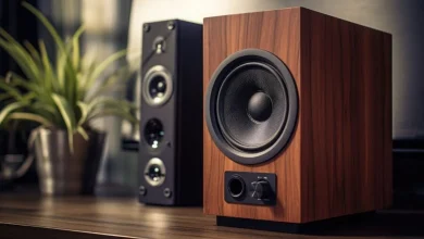 10 Best speakers for home in India: Beautiful sound with spectacular achievements