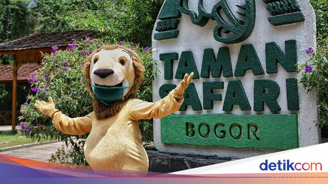 Eid Holiday 2025 in Taman Safari Bogor, look at HTM and how to visit!