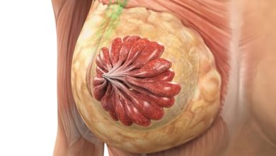 Look at the photos: anatomy of the woman’s chest