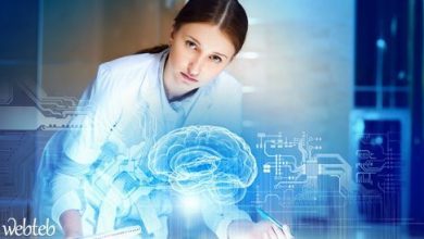 Look with photos, how does the human brain work?