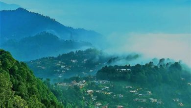 You should also visit the visit of these hillside stations of the country and see the beauty of the foreign location