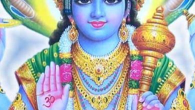 When is Amalaki Ekadashi 2025? Know date and pooja muhurta