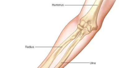 Bone fracture healing .. stages and reasons for delay