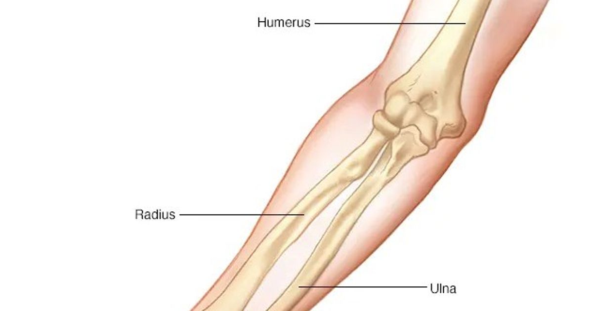 Bone fracture healing .. stages and reasons for delay