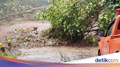 Access to Batu-mojokerto has been cut off from the impact of the East Java Pacet Path landslide, traffic was transferred
