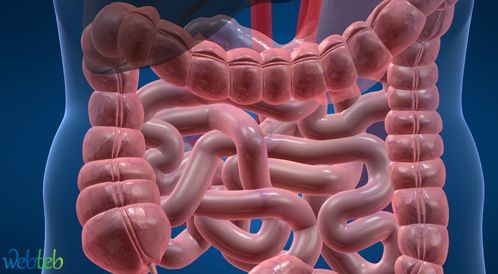 Watch the video: The effect of irritated colon column syndrome
