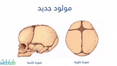 Watch the video: game the early druze in the child