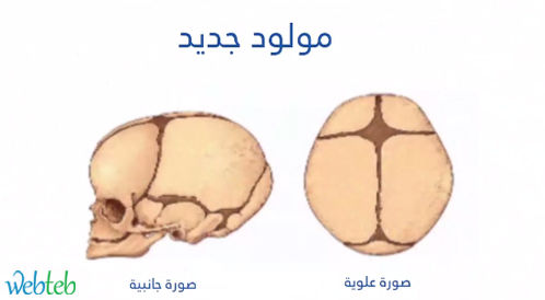 Watch the video: game the early druze in the child