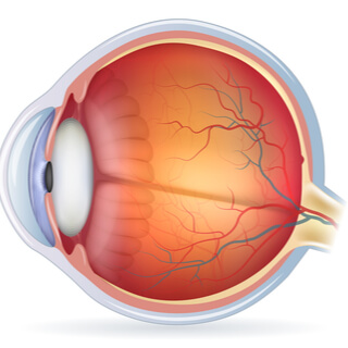 Al ain parts: Look at the photos with a look at your eyes