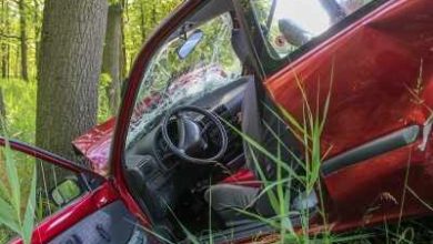 Crimean: The car collided with tree, four Indian students are dead!