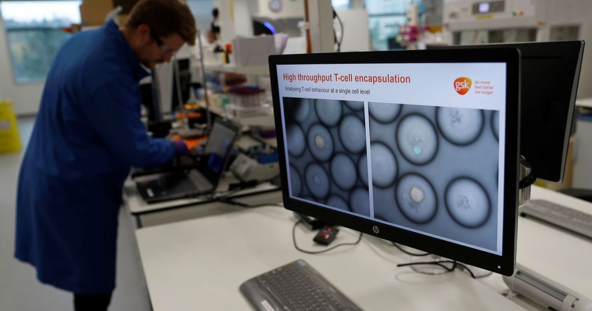 A study that sets out the reasons for the failure of immunotherapy in eliminating cancer