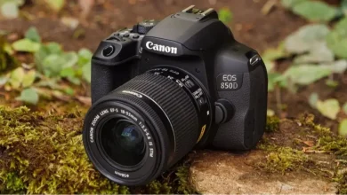 Best cannon cameramodels: DSLR and mirrorless options for photography staff and enthusiasts