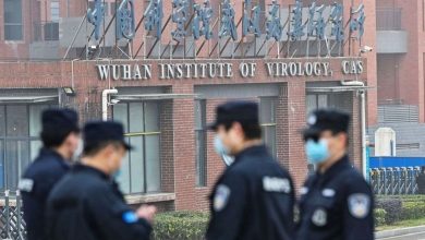 A new Corona virus of the bats of China arouses anxiety