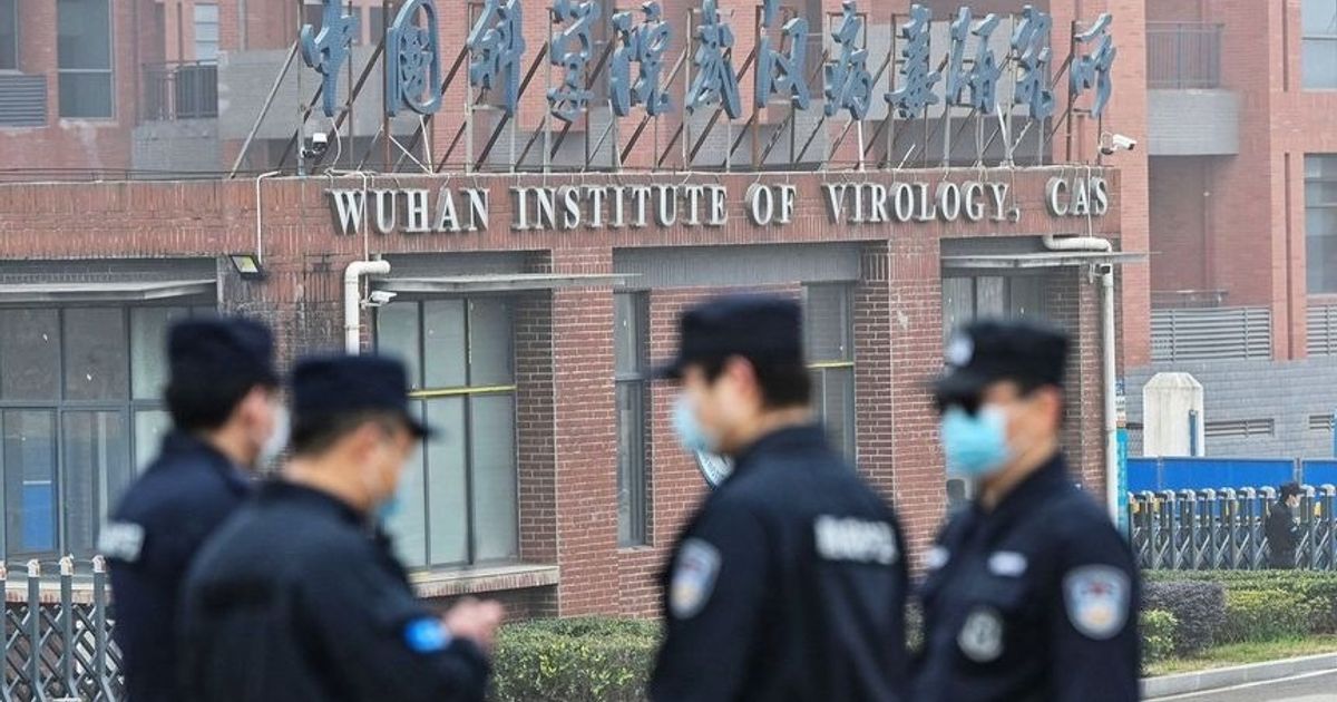 A new Corona virus of the bats of China arouses anxiety
