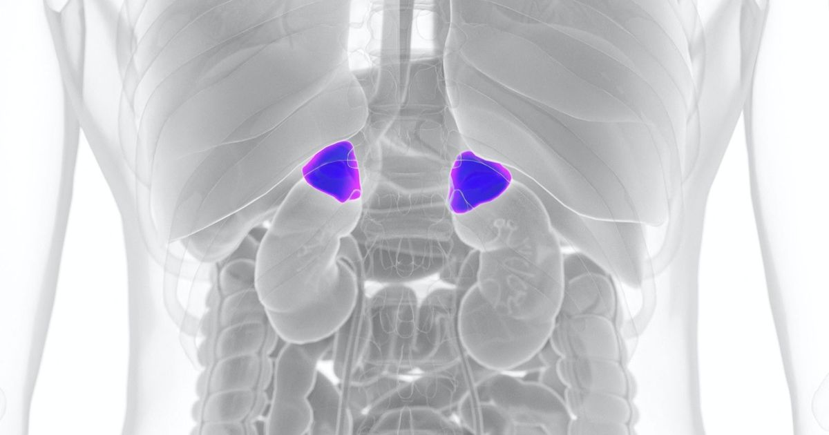 “More than the eye see” .. an unexpectedly complexity in adrenal gland tumors