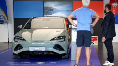 The share of Chinese electric cars in Europe drops to the lowest level in two years