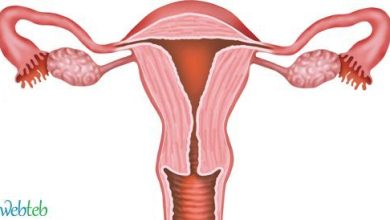 Watch the video: Treat uterine fibroids