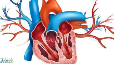 Video: The spiritual valve