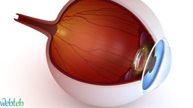 Watch the video: Cornea Transplantation