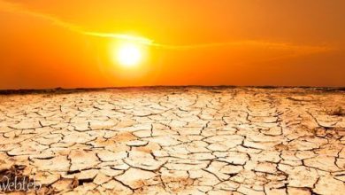 Read more about the damage of sunlight with photos