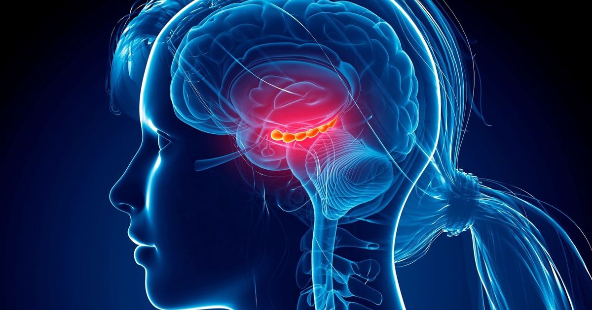 It is overlooked by doctors. Artificial intelligence discovers 64% of epilepsy brain disorders