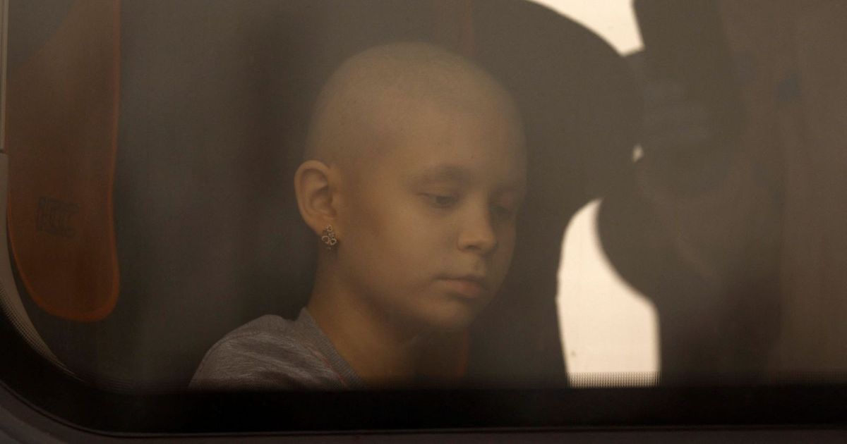 Study: Half of Cancer Patients “Does Not Receive Fatty Care”