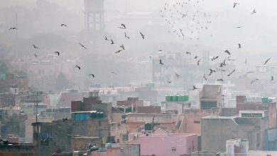13 cities of India are the most polluted in the world