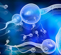 Semen analysis: The method of performing the examination and results analysis