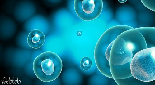 Watch the video: How to plant stem cells