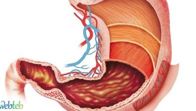 Video: Stomach Opening Process