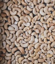 15 Benefits of eating cashew nuts