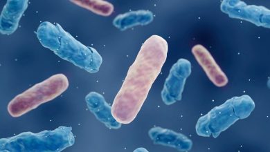 A study that provides a new interpretation of the failure of antibiotics in killing bacteria