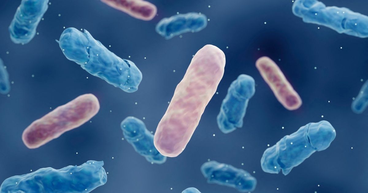 A study that provides a new interpretation of the failure of antibiotics in killing bacteria