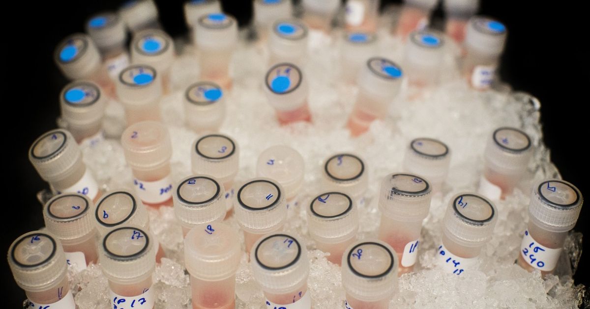 A cancer vaccine seems promising and requires an investment