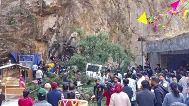 Six people died after falling trees on vehicles near Manikaran Gurdwara in Himachal Pradesh