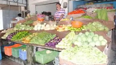 Jhunjhunu Market Many Fruits: Kashmiri Sev sells a lot, the smell of foreign dates in the market, fruits reaching from other states