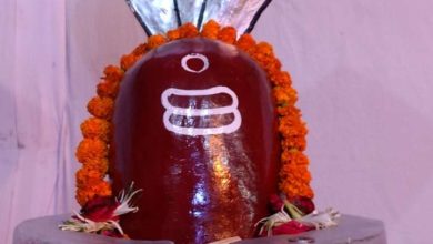 What happens by climbing cannabis on Shivling?