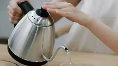 Best Electric Kettles Under 1000: Energy Efficient, Fast and Purse Friendly
