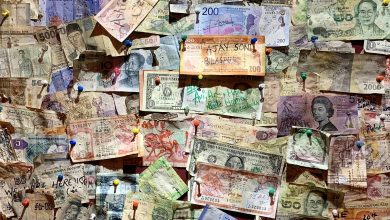India’s 12 largest government banks