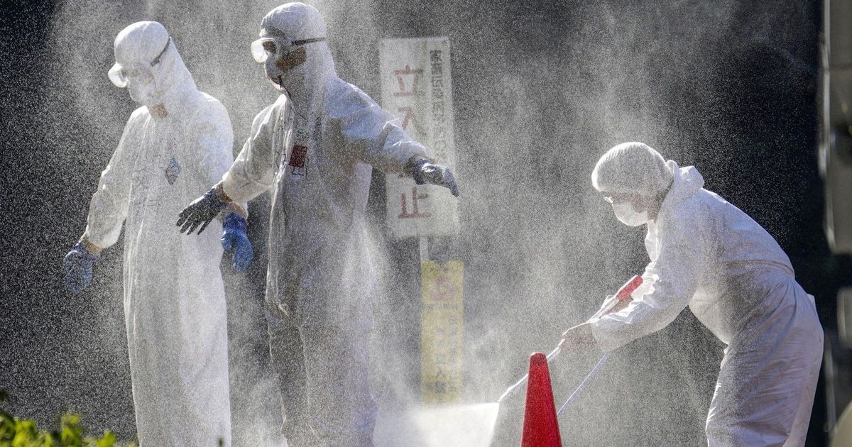 A preventative treatment with antibodies can protect against bird flu