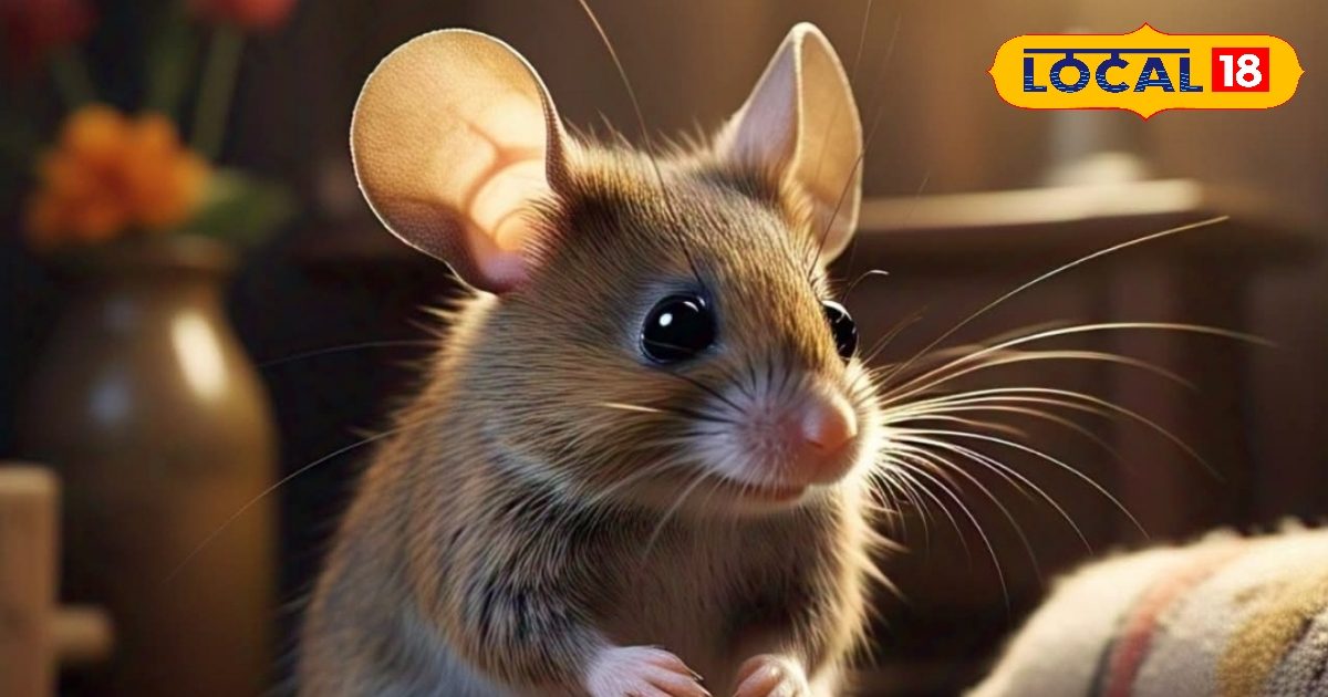 These five ways will be forced to run away from home, this stuff is found in your kitchen