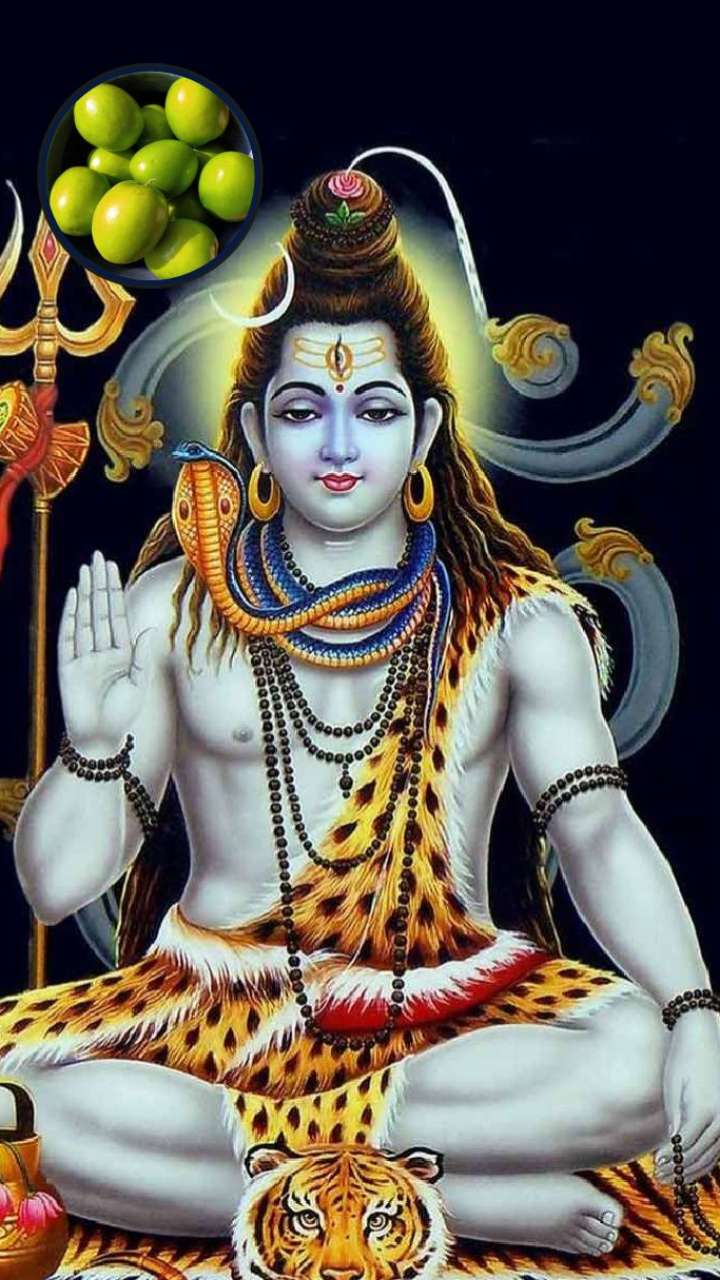Why do you offer plum to Shiva on Mahashivaratri? Learn the benefits of that